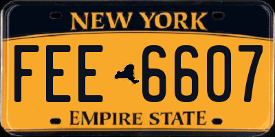 NY license plate FEE6607