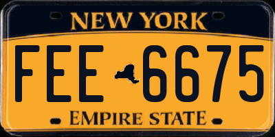 NY license plate FEE6675
