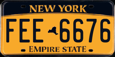 NY license plate FEE6676