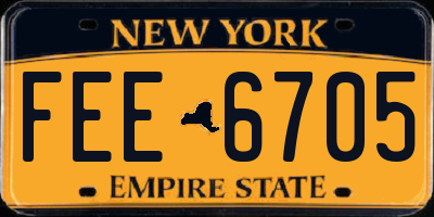 NY license plate FEE6705