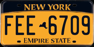 NY license plate FEE6709
