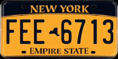 NY license plate FEE6713