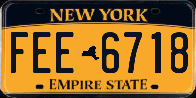 NY license plate FEE6718