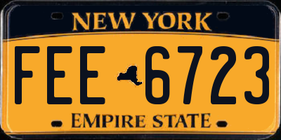 NY license plate FEE6723