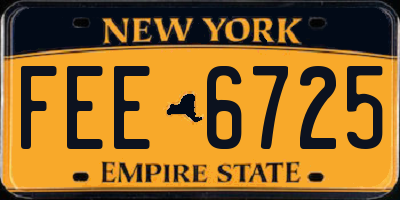 NY license plate FEE6725
