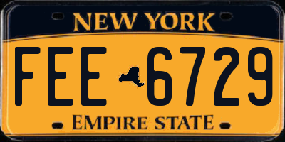 NY license plate FEE6729