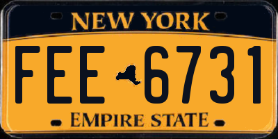 NY license plate FEE6731