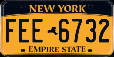 NY license plate FEE6732