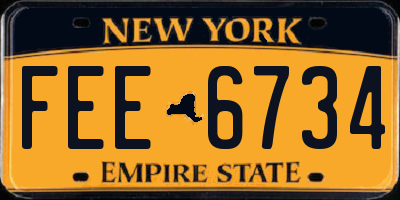 NY license plate FEE6734