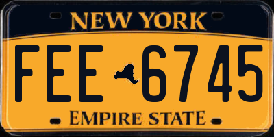 NY license plate FEE6745