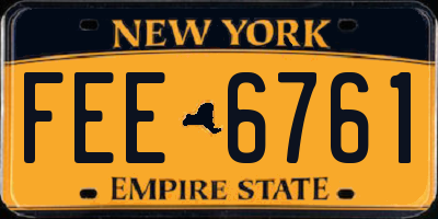 NY license plate FEE6761