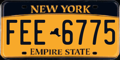 NY license plate FEE6775