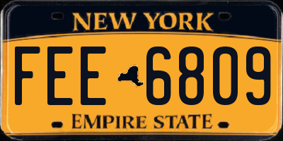NY license plate FEE6809