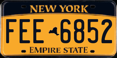 NY license plate FEE6852
