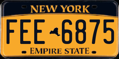 NY license plate FEE6875