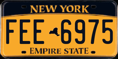 NY license plate FEE6975