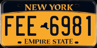 NY license plate FEE6981