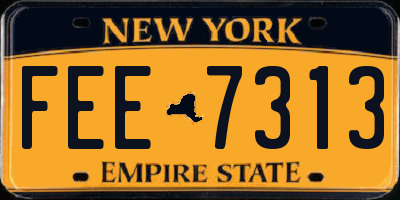 NY license plate FEE7313