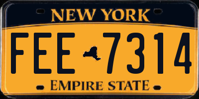 NY license plate FEE7314