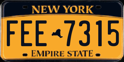 NY license plate FEE7315