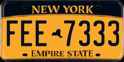 NY license plate FEE7333