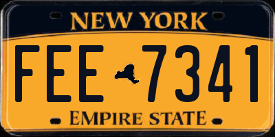 NY license plate FEE7341