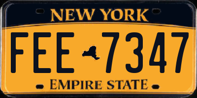 NY license plate FEE7347