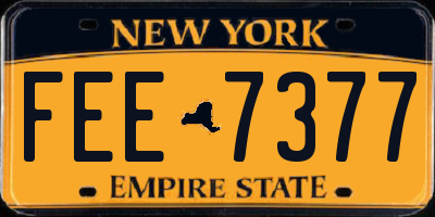 NY license plate FEE7377