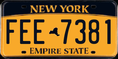 NY license plate FEE7381