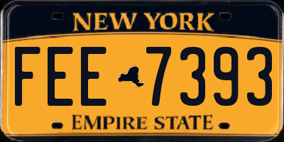 NY license plate FEE7393