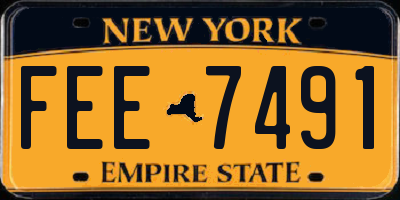NY license plate FEE7491