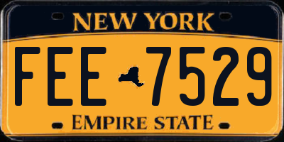 NY license plate FEE7529