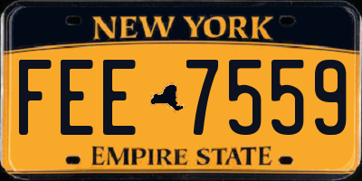 NY license plate FEE7559