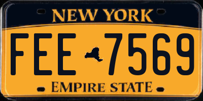 NY license plate FEE7569