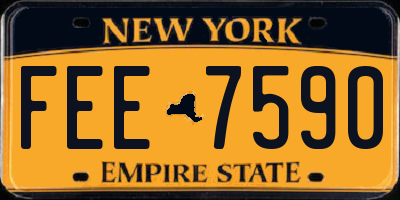 NY license plate FEE7590