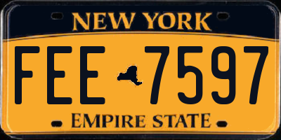 NY license plate FEE7597