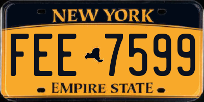 NY license plate FEE7599