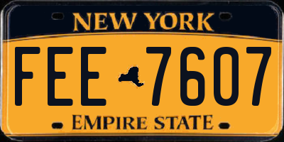 NY license plate FEE7607