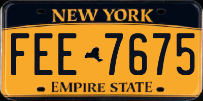 NY license plate FEE7675