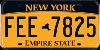 NY license plate FEE7825