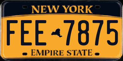 NY license plate FEE7875