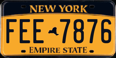NY license plate FEE7876