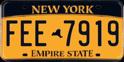 NY license plate FEE7919