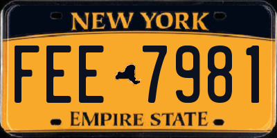 NY license plate FEE7981