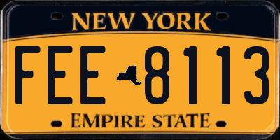 NY license plate FEE8113