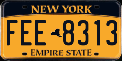 NY license plate FEE8313