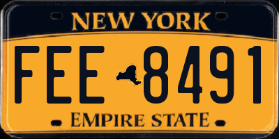 NY license plate FEE8491
