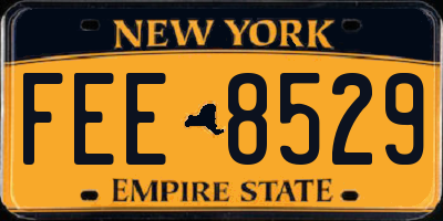 NY license plate FEE8529