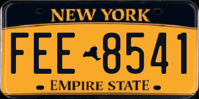 NY license plate FEE8541