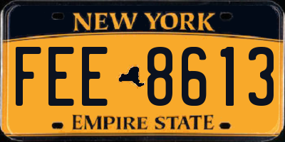 NY license plate FEE8613